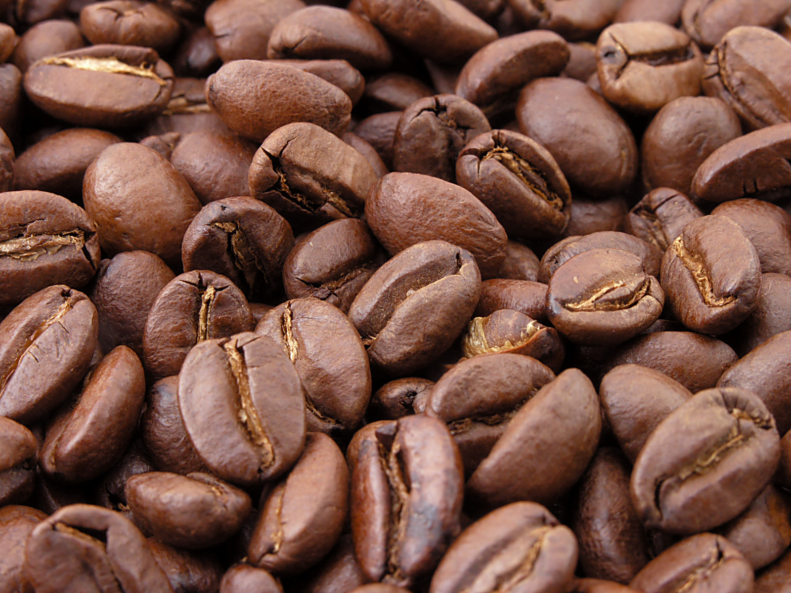 咖啡豆 Coffee beans